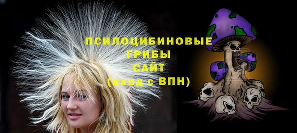 прущие грибы Кукмор
