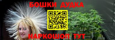 бошки Гагарин
