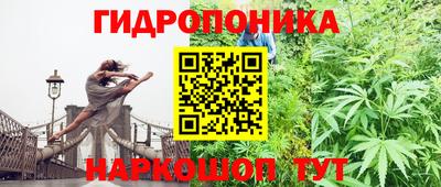 кокс Гай