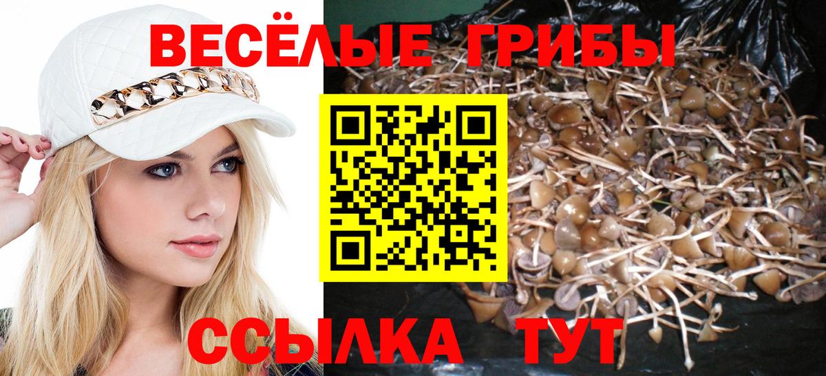 Галлюциногенные грибы мицелий  Вход с VPN  Псилоцибиновые грибы Psilocybine cubensis  Когалым 